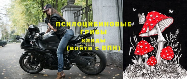 apvp Краснотурьинск